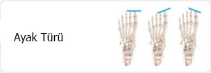 Ayak Türü