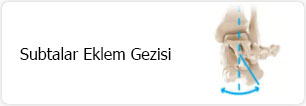Subtalar Eklem Gezisi